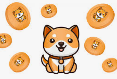 Shiba